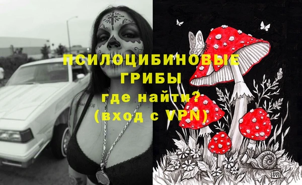 спиды Семикаракорск