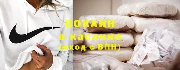 прущие грибы Баксан