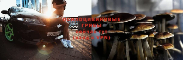 сатива Балабаново