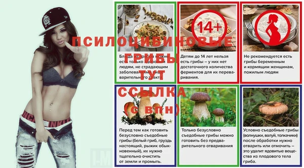 сатива Балабаново