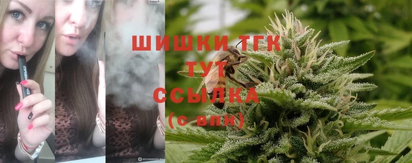 сатива Балабаново