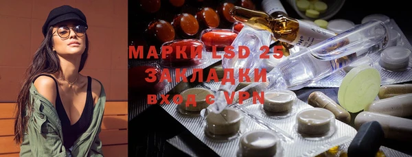прущие грибы Баксан
